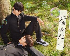 泛页面关键词0543