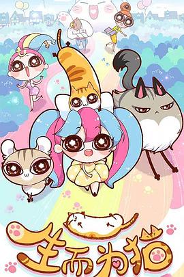 泛页面关键词4117